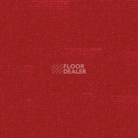 Ковролин Radici Abetone Rosso 1568 фото 1 | FLOORDEALER
